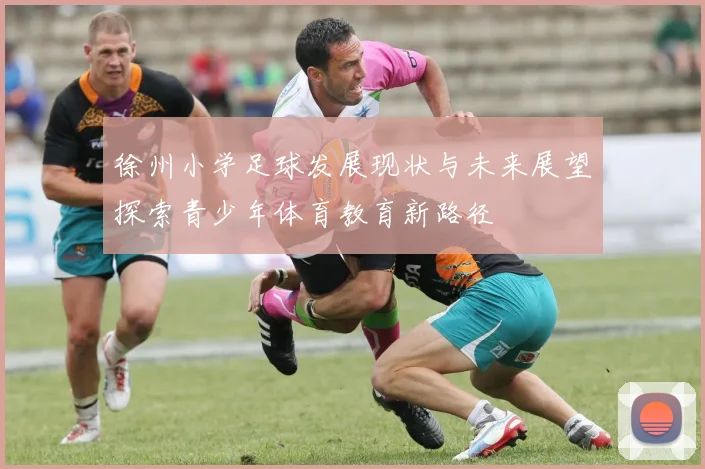 徐州小学足球发展现状与未来展望探索青少年体育教育新路径