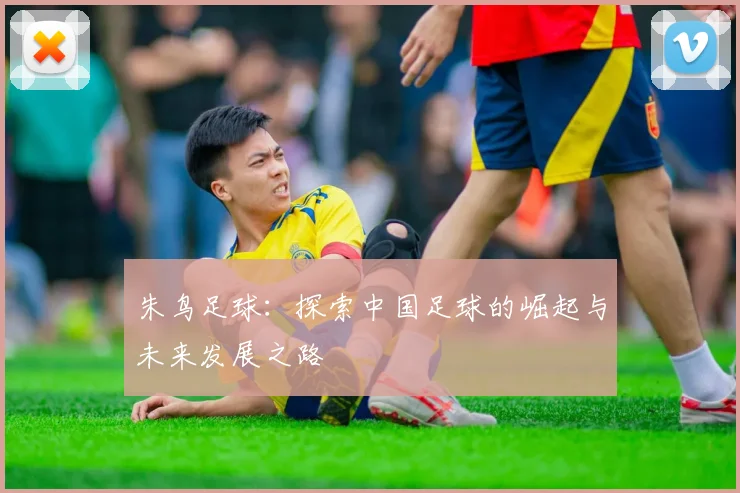朱鸟足球：探索中国足球的崛起与未来发展之路