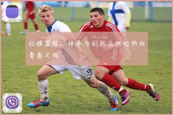 社旗篮球：传承与创新交织的热血青春之路