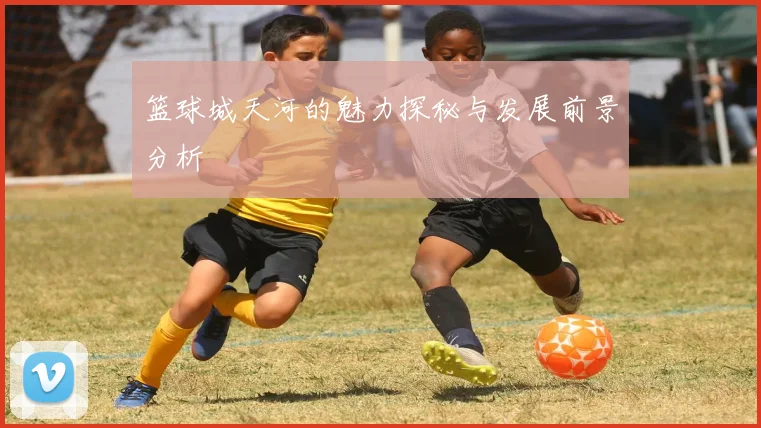 篮球城天河的魅力探秘与发展前景分析